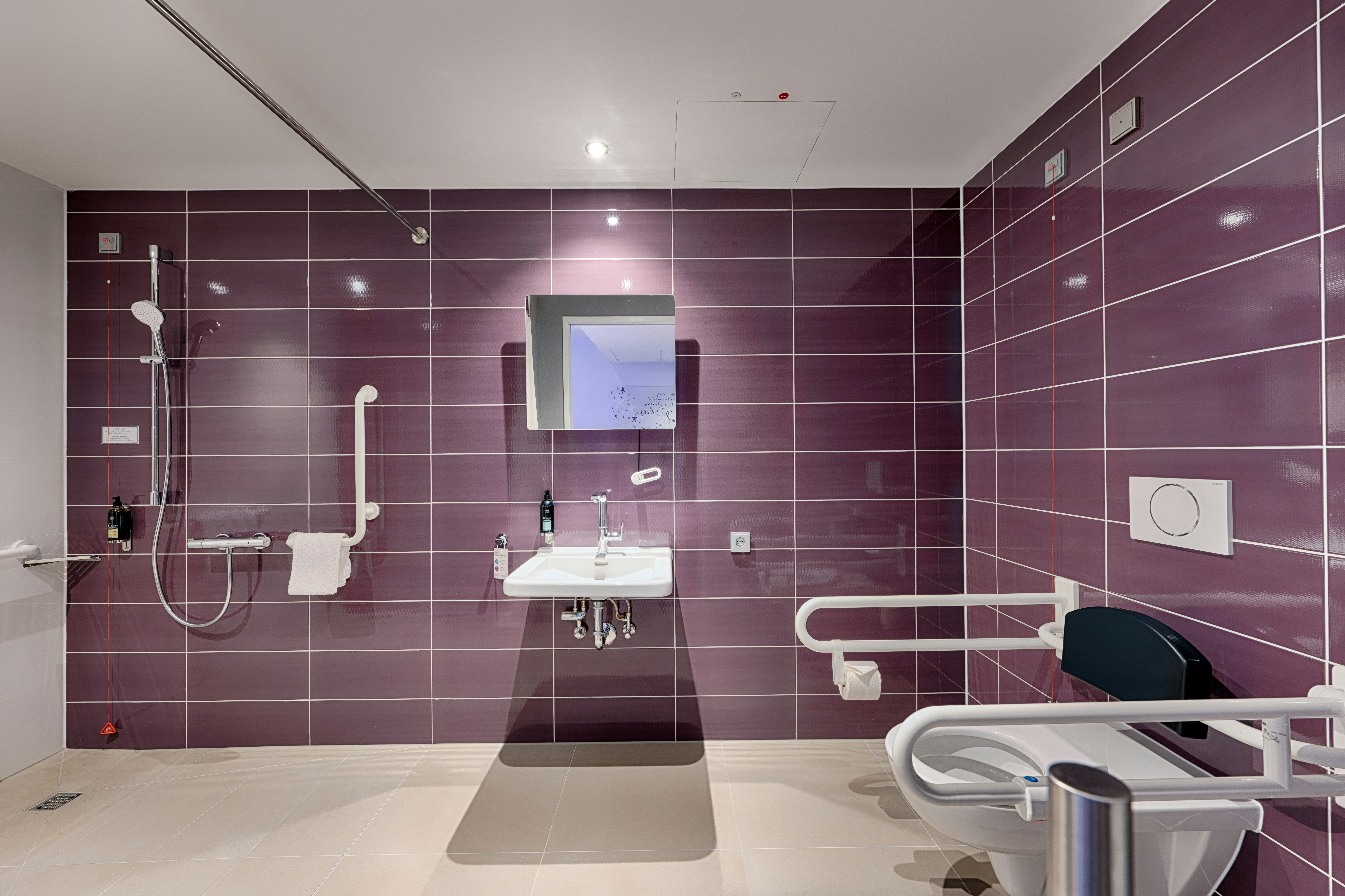 Premier Inn Dusseldorf City Friedrichstadt 37/37