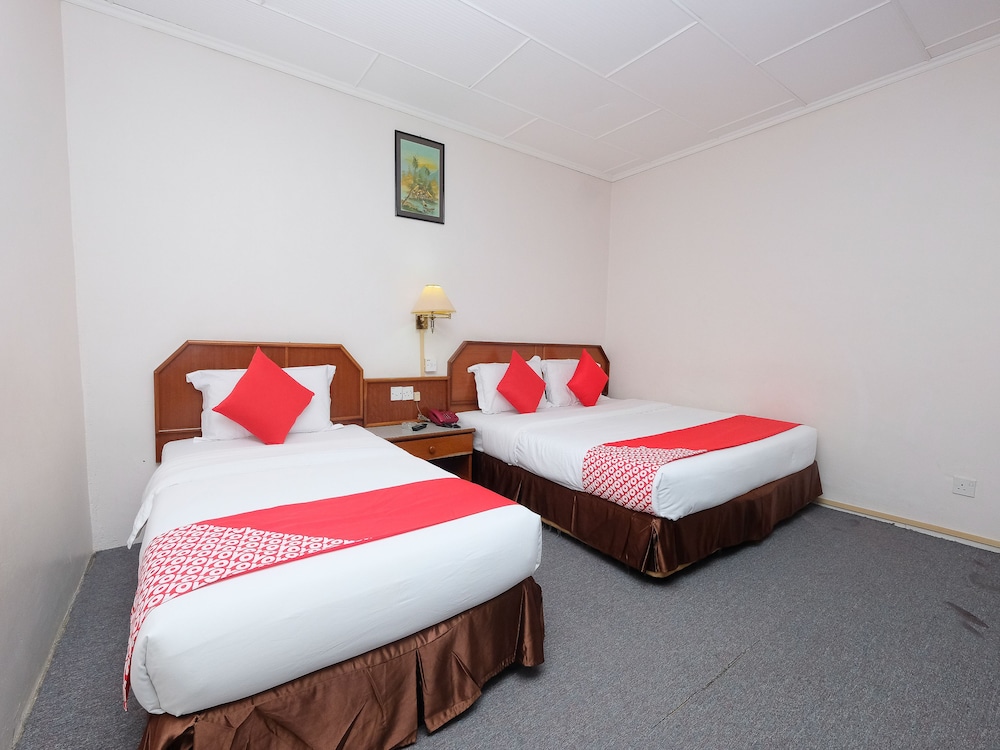 OYO 1236 Hotel Green Park 19/58