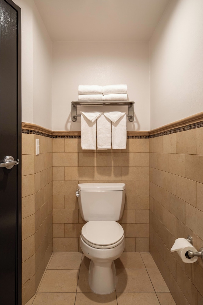 Renovated, Courtyard, Studio, Suite, King Bed, Sofa