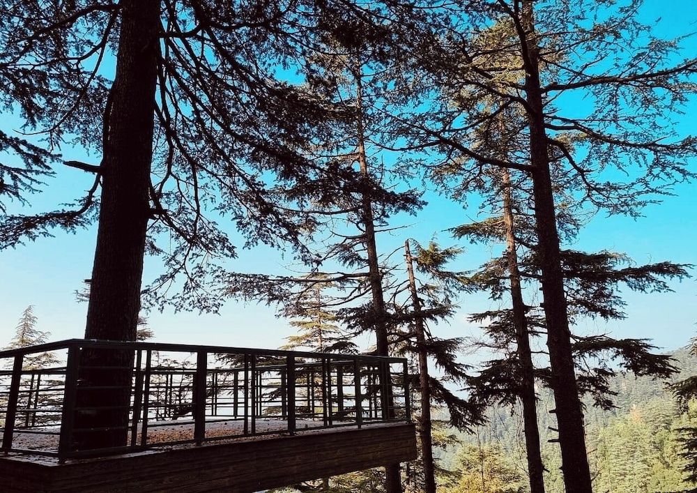 Fairmount Hotel Shimla 48/50