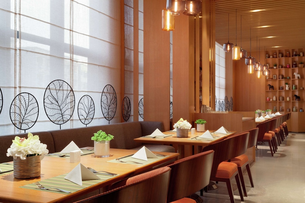 Hilton Garden Inn Shenzhen Bao an 44/49