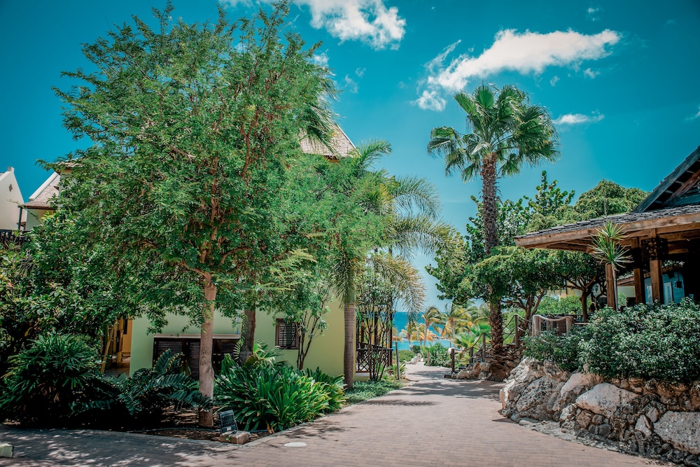库拉索岛狮子潜水和海滩渡假村酒店(Lions Dive & Beach Resort Curaçao) 图片4