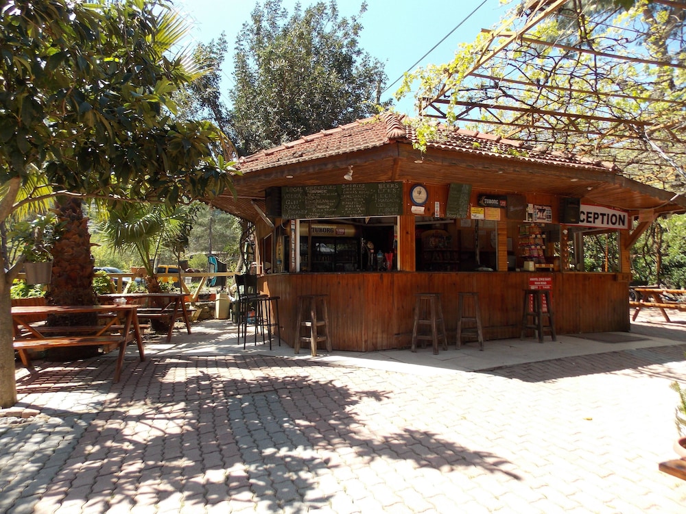 Olympos Orange 2/50