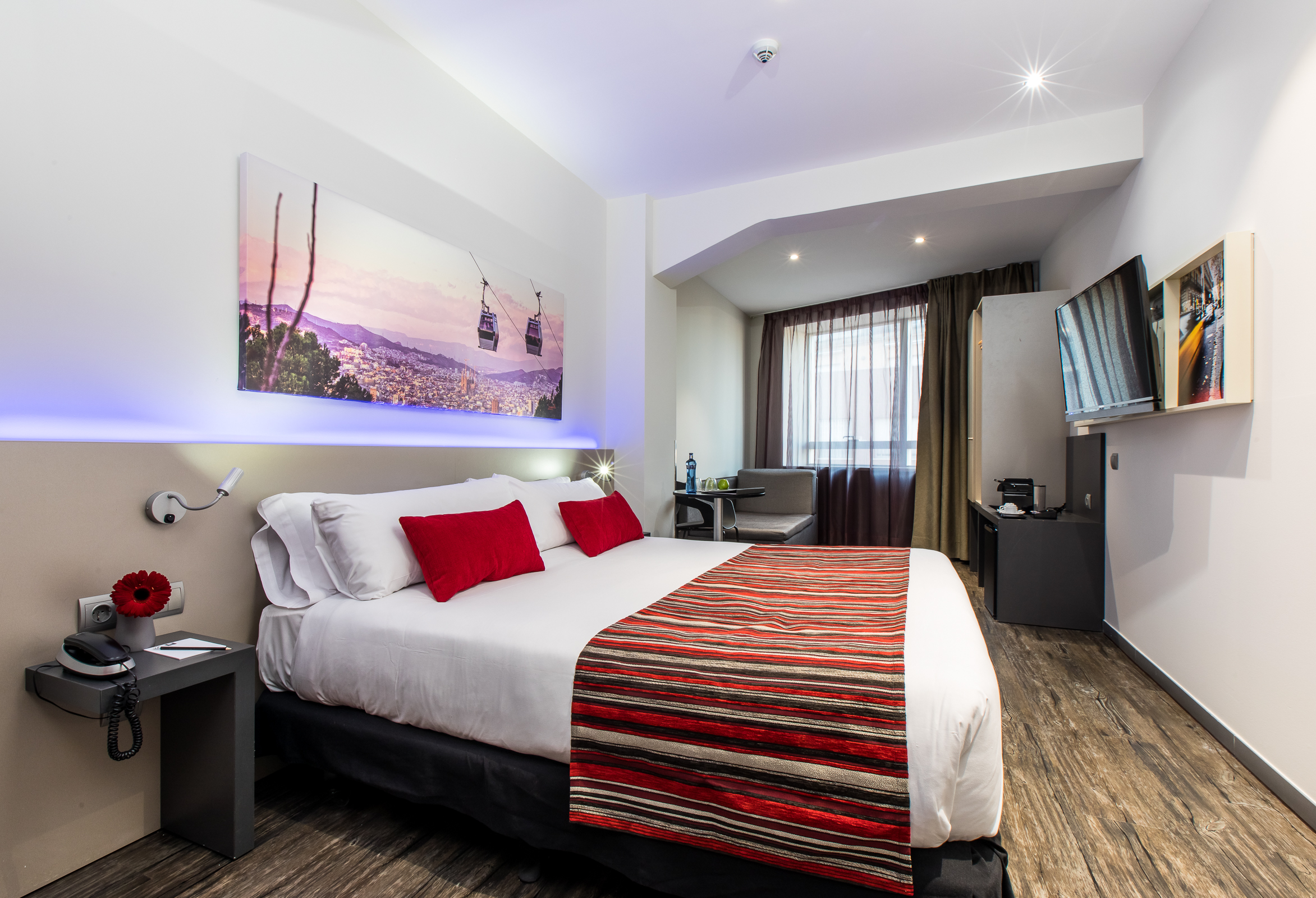 Superior, Double or Twin Bed