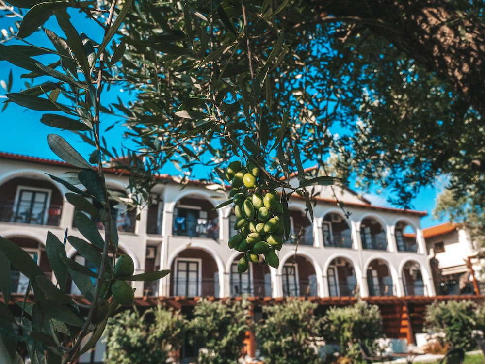 Castelli Hotel - Adults Only 41/50