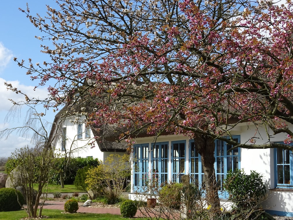 Landhotel Kastanienallee Putbus 2/50