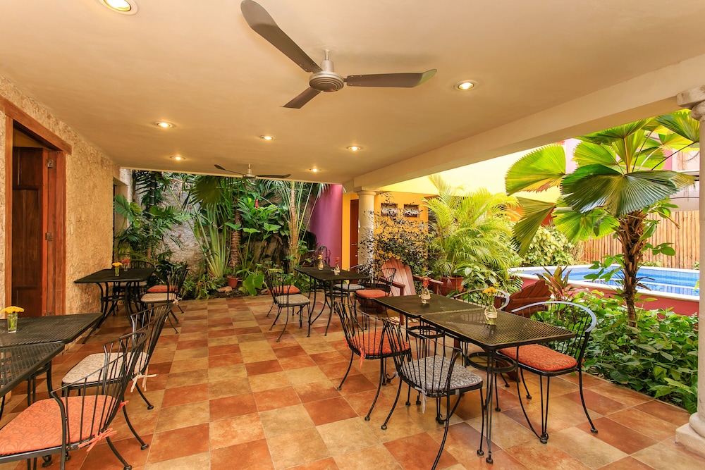Casa Aura Hotel Merida 44/49