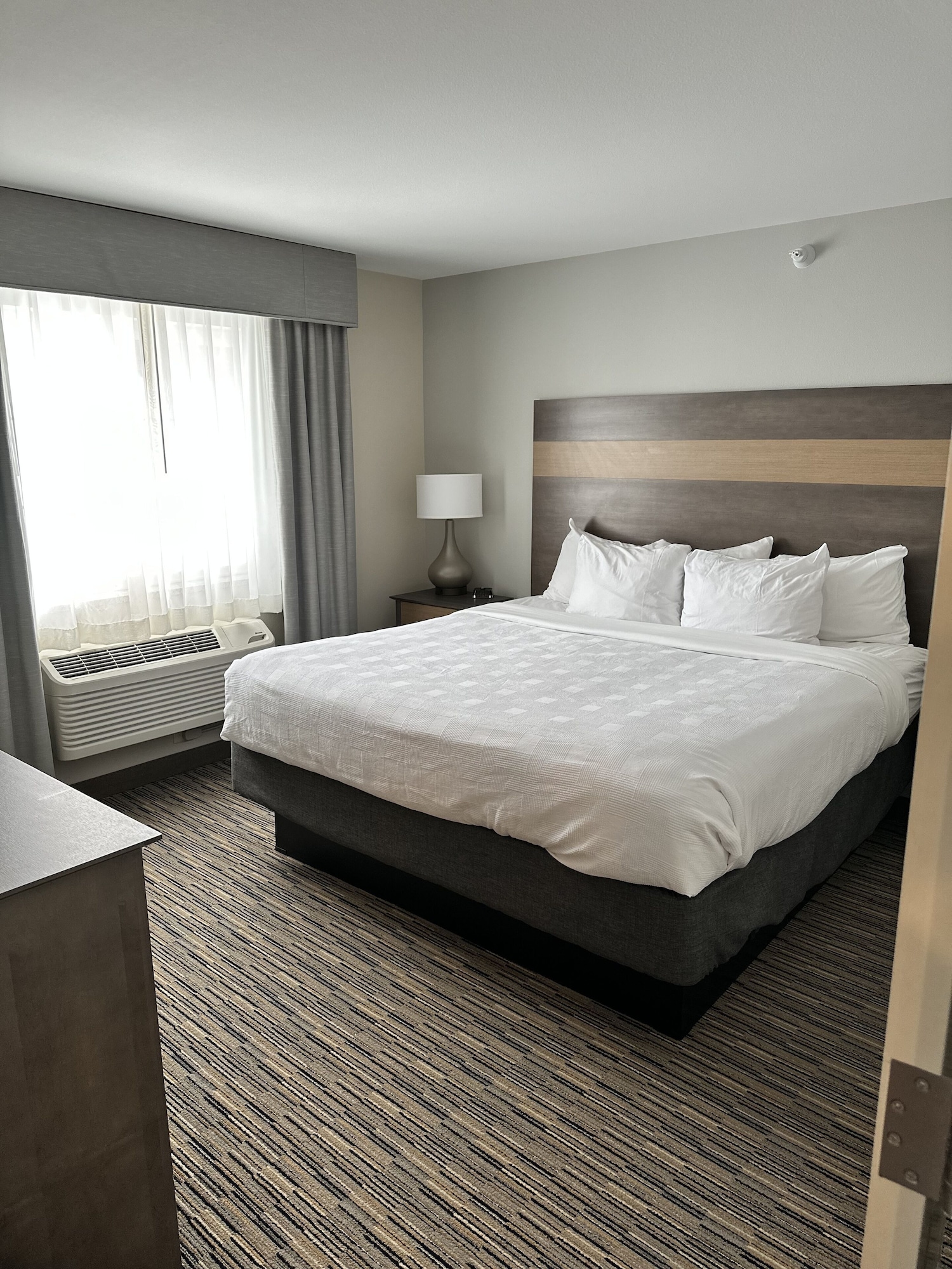 Suite, King Bed, Sofa