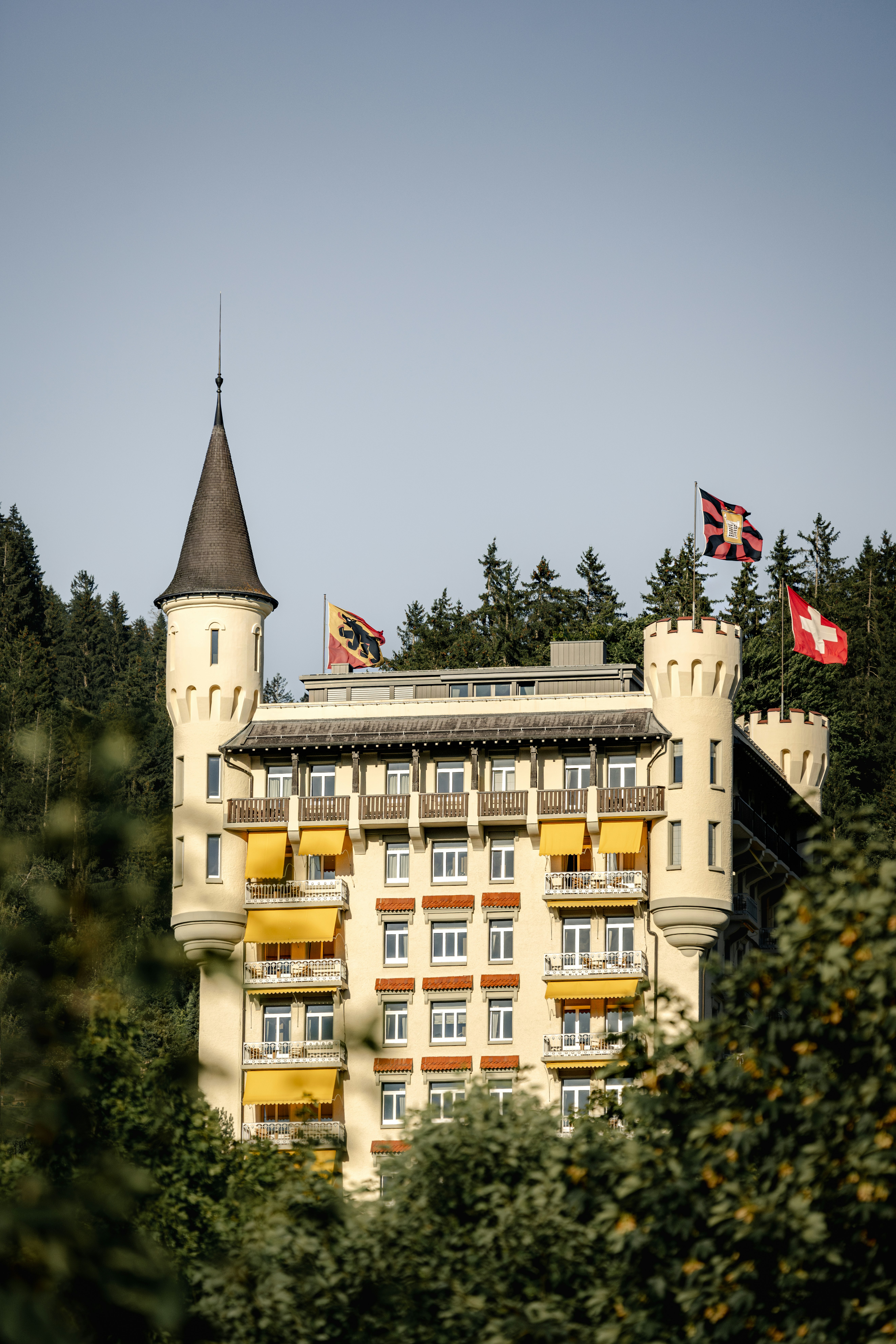 Gstaad Palace in SAANEN