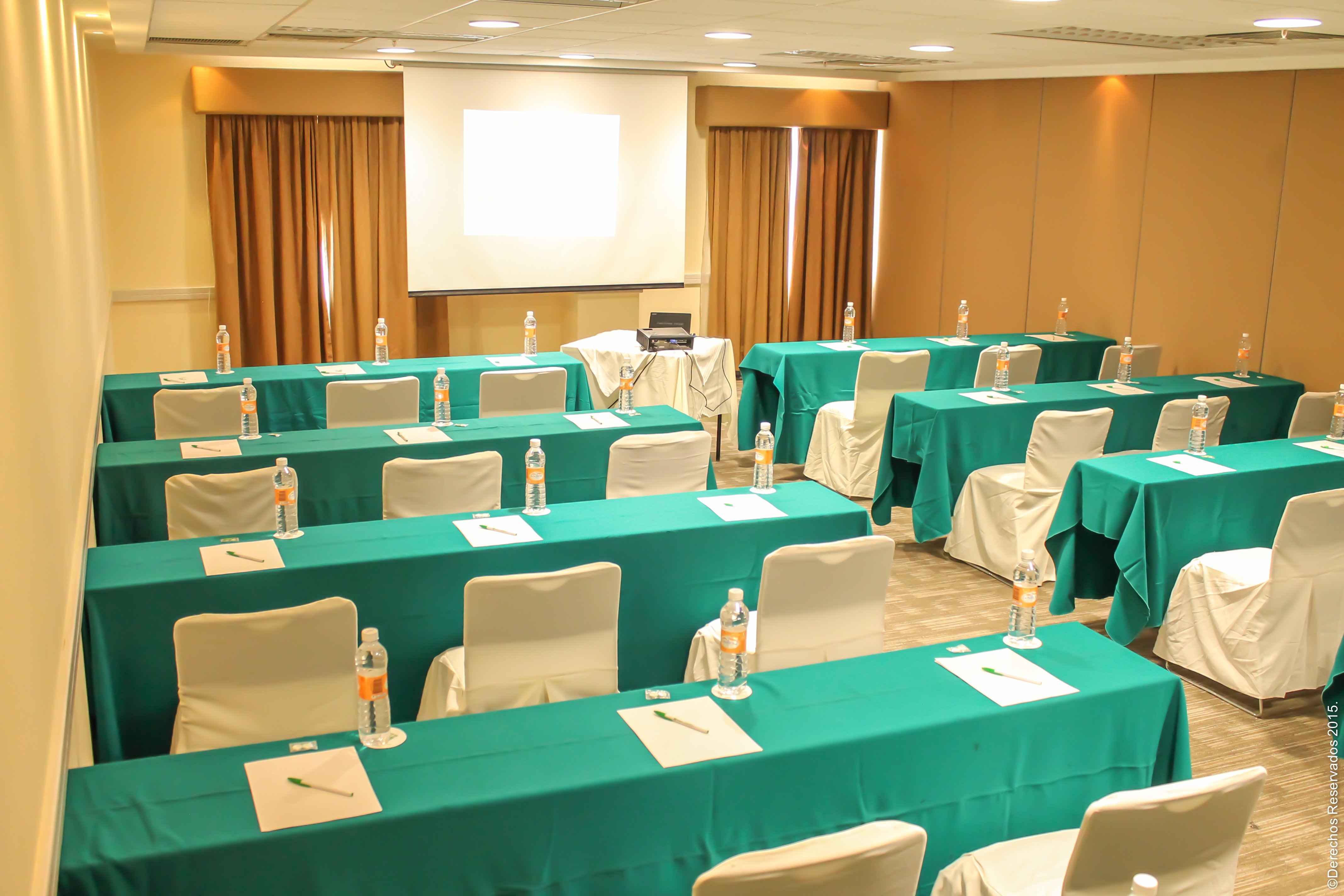 Holiday Inn Leon-Convention Center, an IHG Hotel 42/50