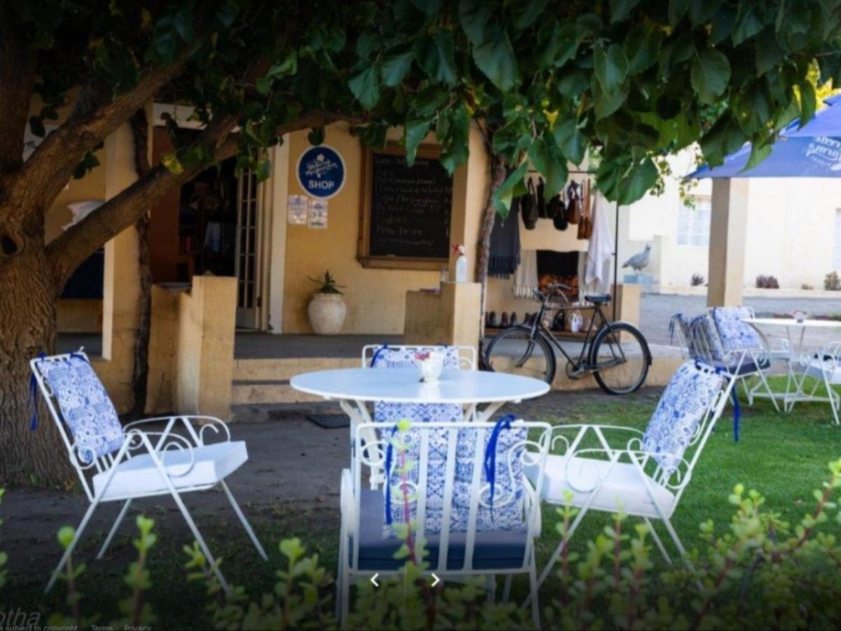 Weltevrede Fig Farm 13/13