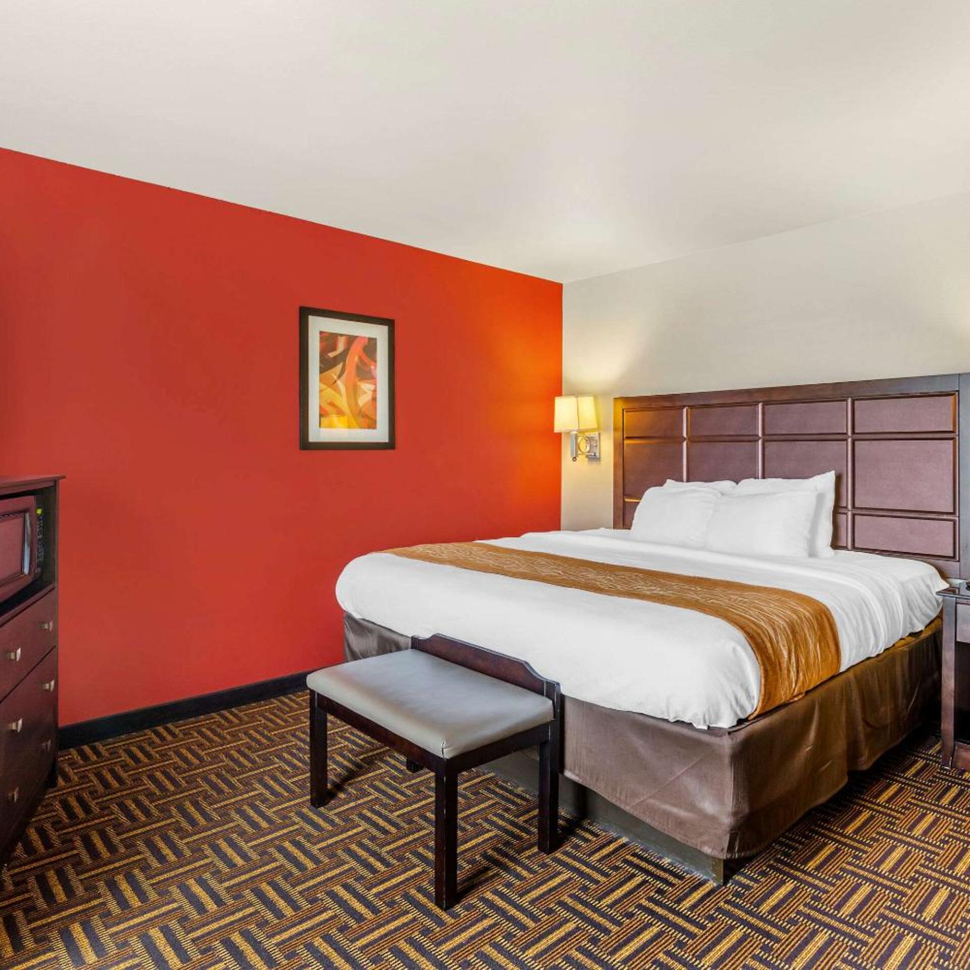 Room, King Bed, Pet Friendly