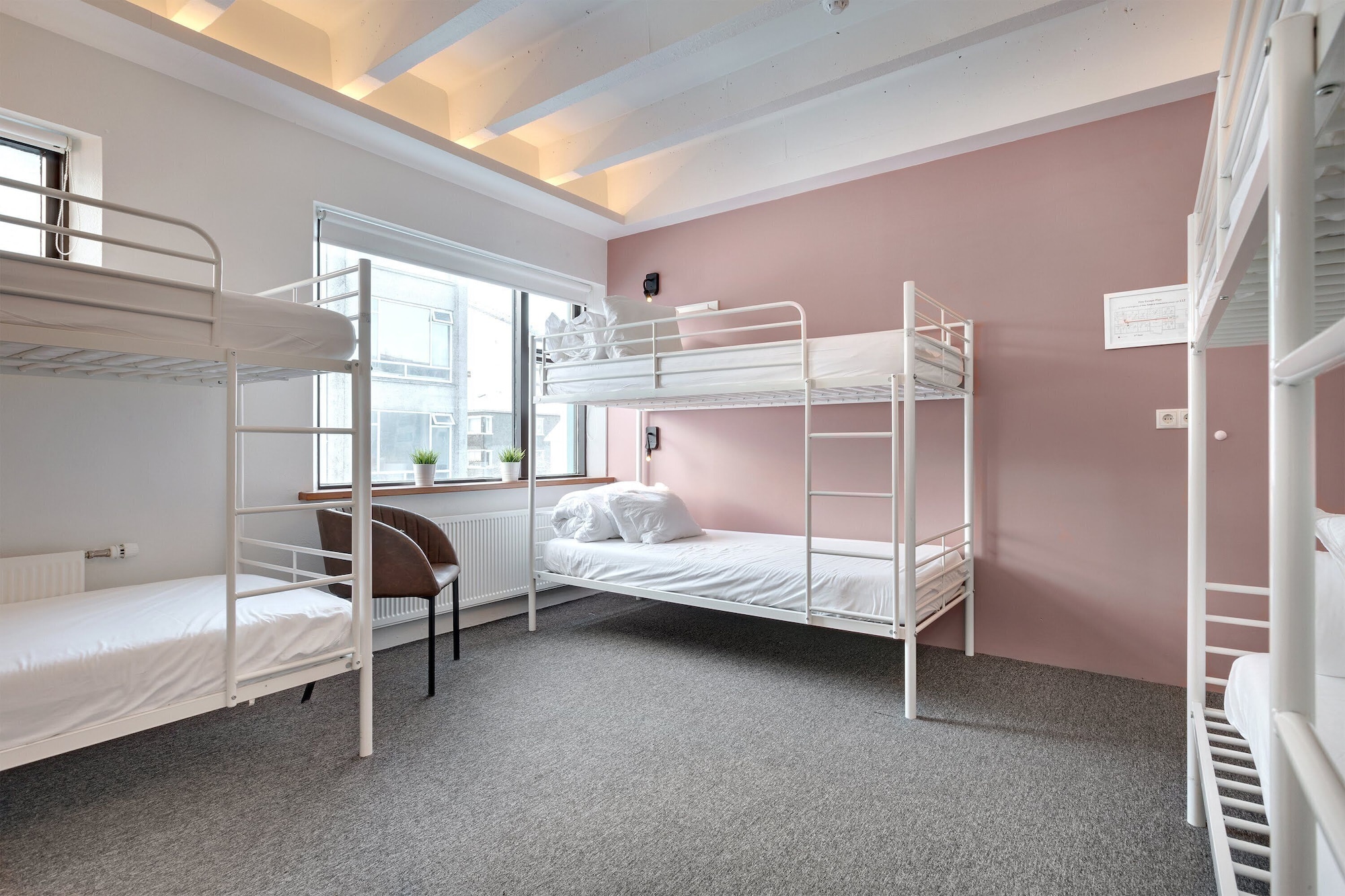 MIXED DORM, 8 BEDS