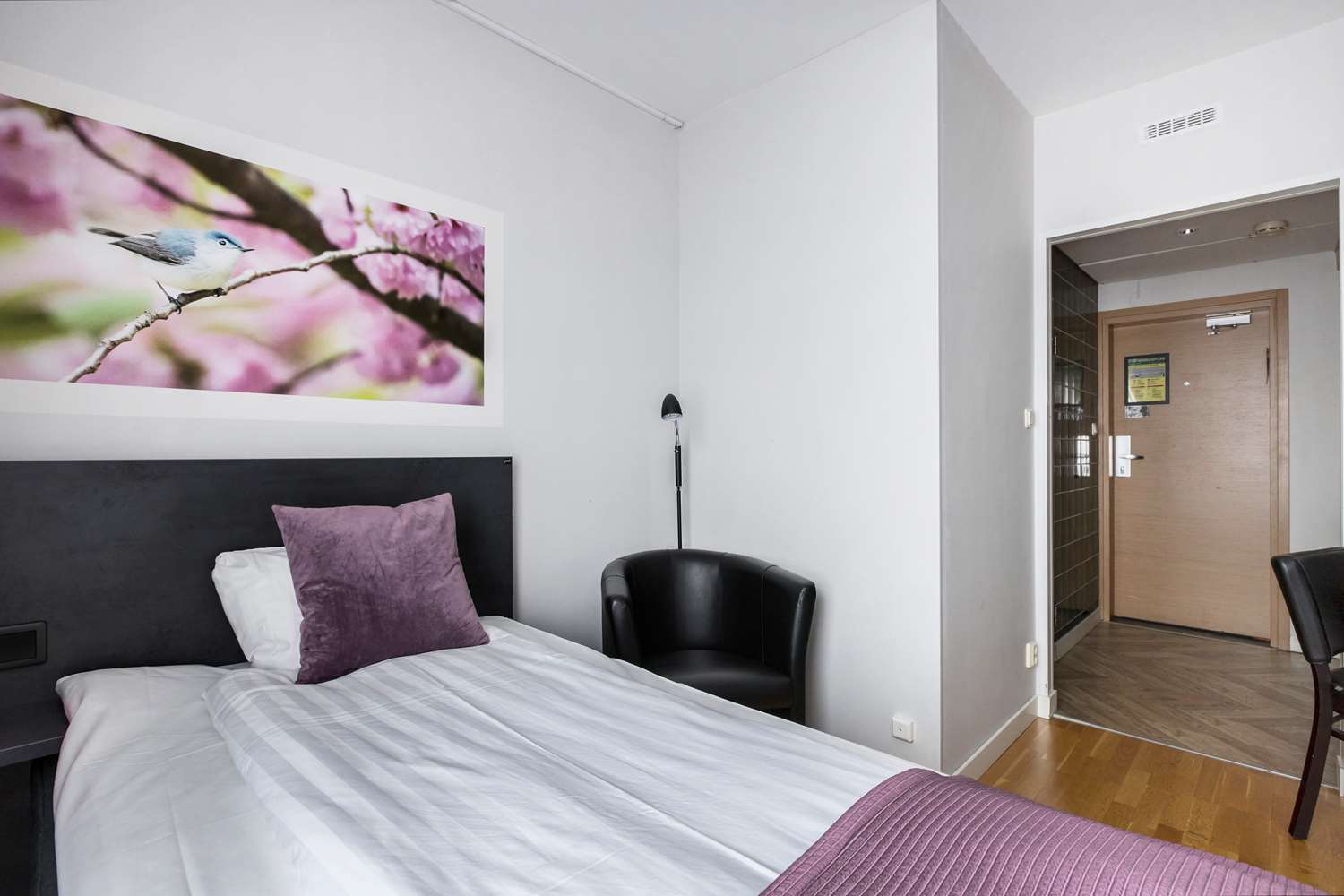 Best Western Plaza Hotel 20/65