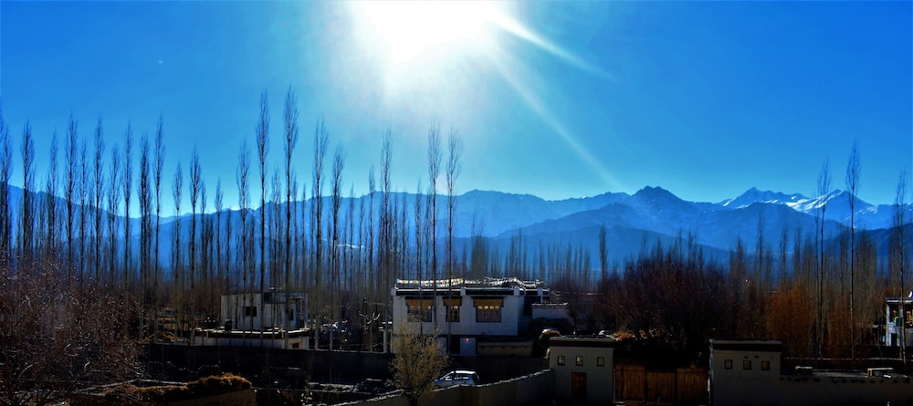 The Driftwood Ladakh 40/50