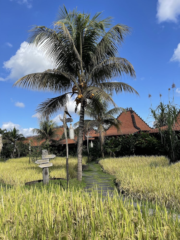 Arya Arkananta Resort & Spa 46/50