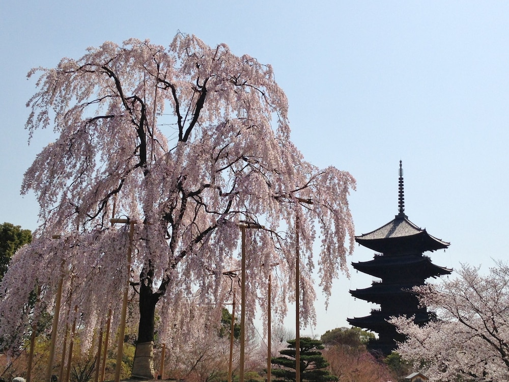 Hotel Livemax BUDGET Kyoto Gojo 40/43