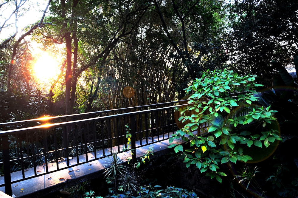 Lost Trail Bed And Breakfast 20/29