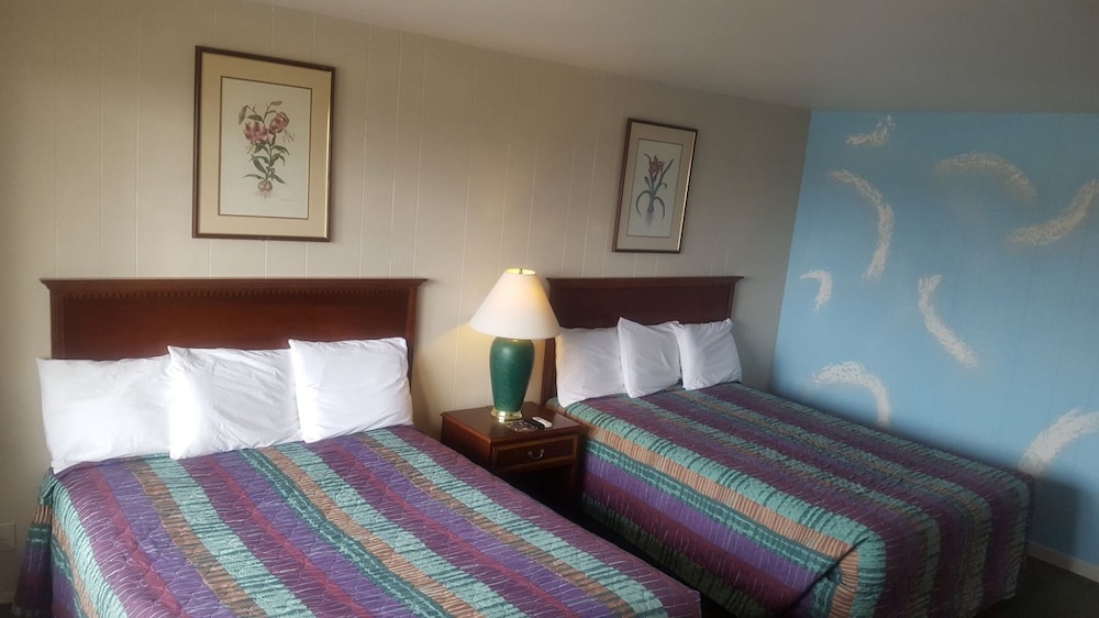 Motel Oasis Inn 18/56