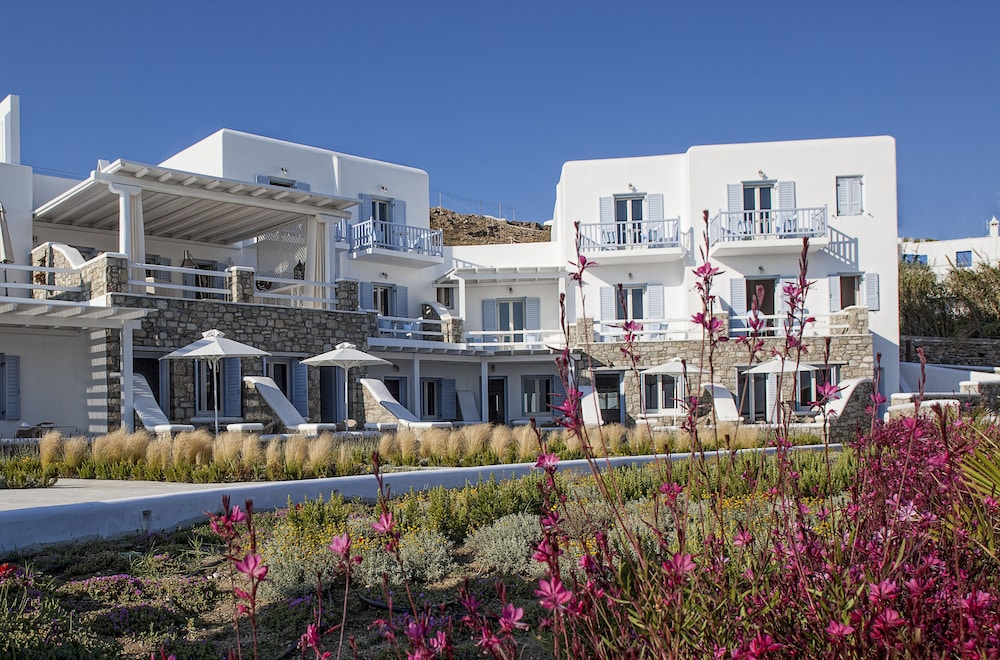 Delight Boutique Hotel & Spa 1/50