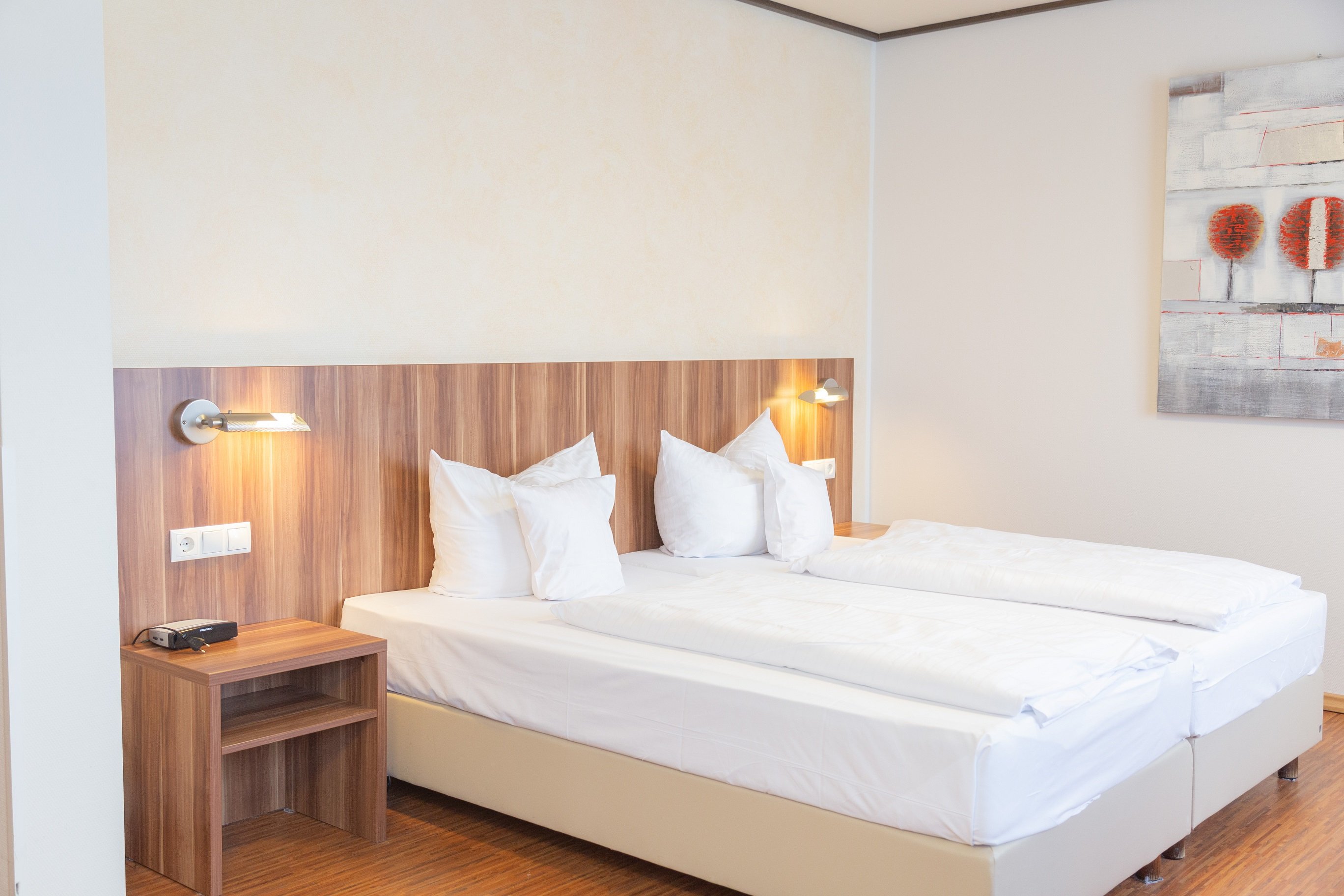 Hotel Ebertor 14/54