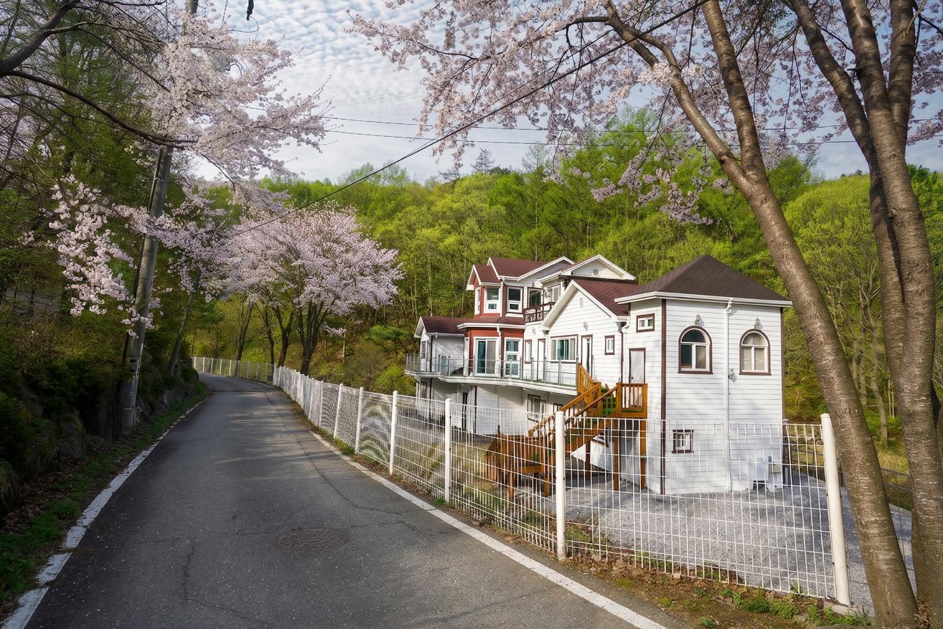 Yangpyeong Dorothy Velly Pension 30/39