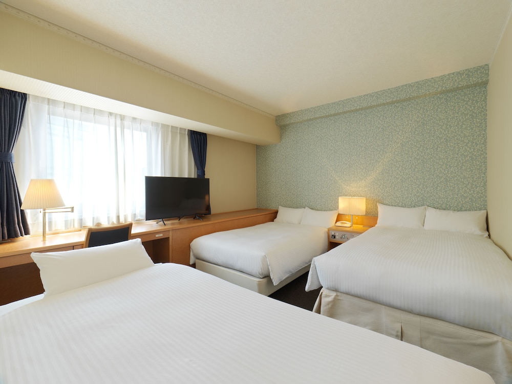 Hotel Emisia Tokyo Tachikawa 9/50