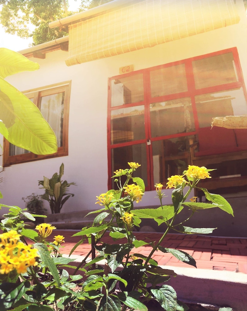 Langchia Hostel & Bar 6/41