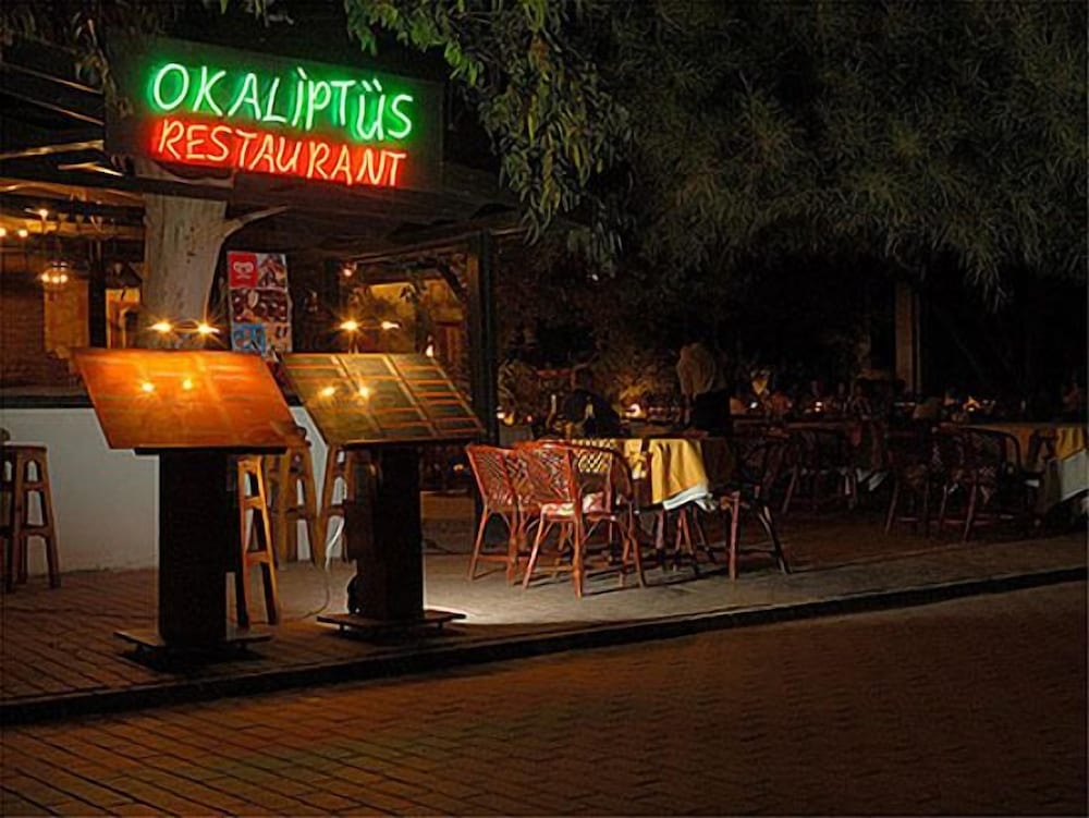 Okaliptus Otel 21/50