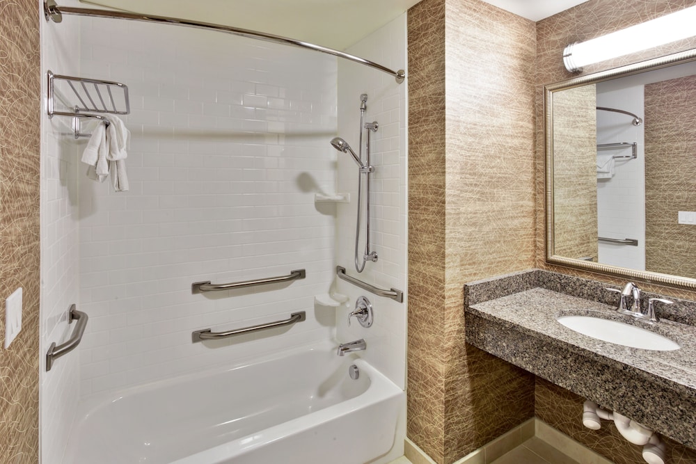 Holiday Inn Detroit Metro Airport 6/58