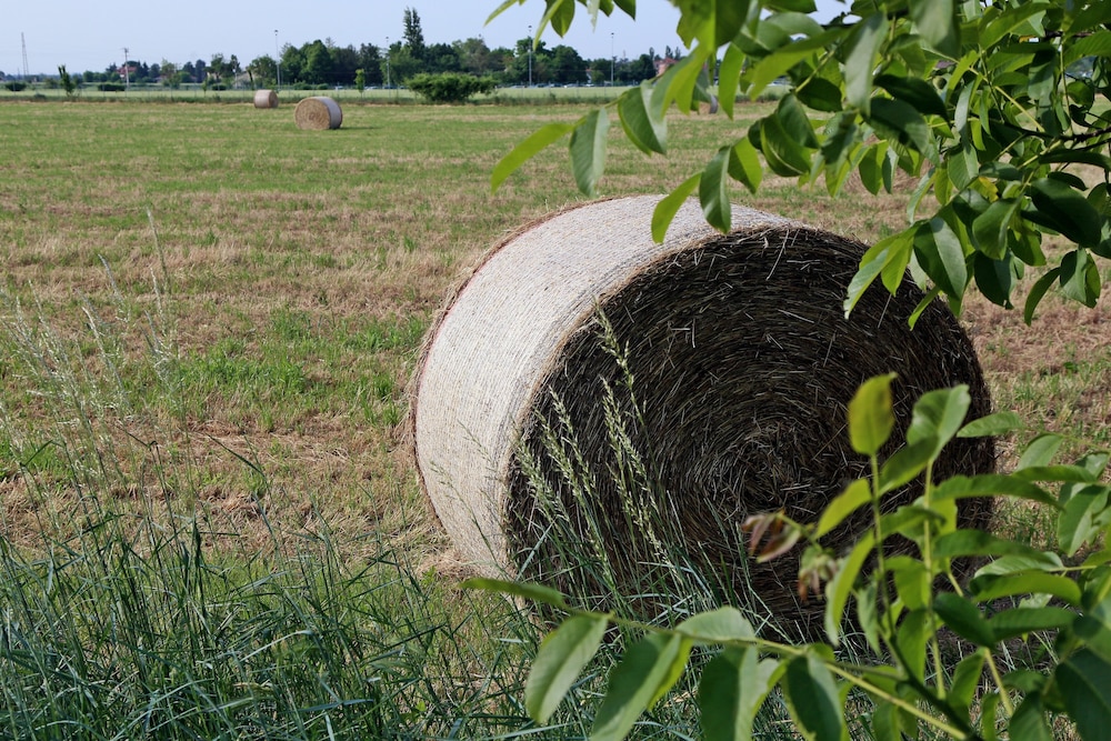Agriturismo Argaland 41/50