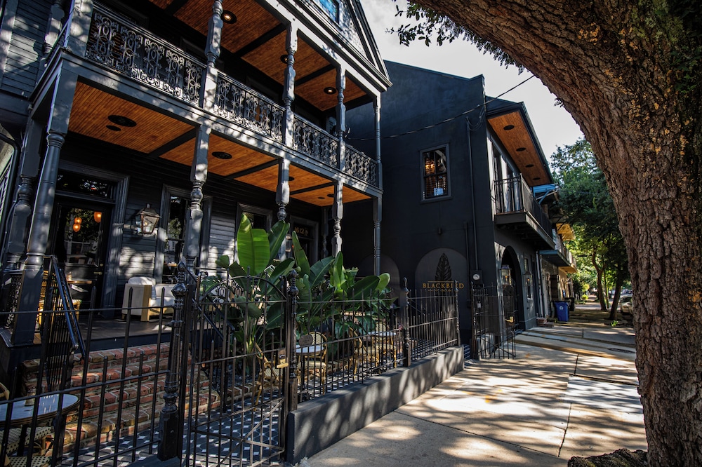 The Blackbird Hotel 4/47