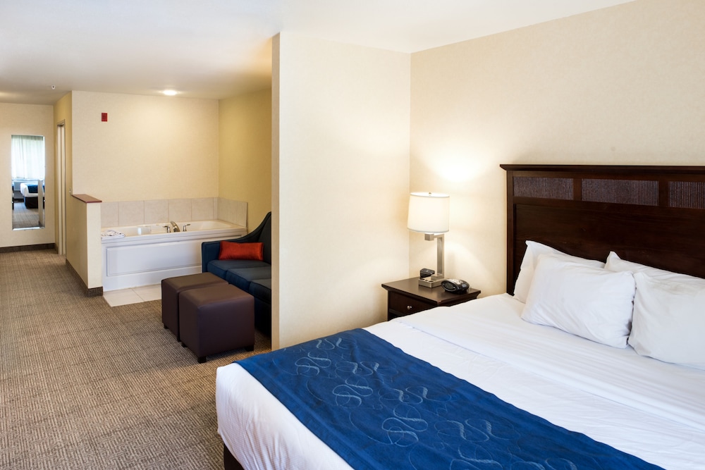 Comfort Suites Lake Geneva East 11/46
