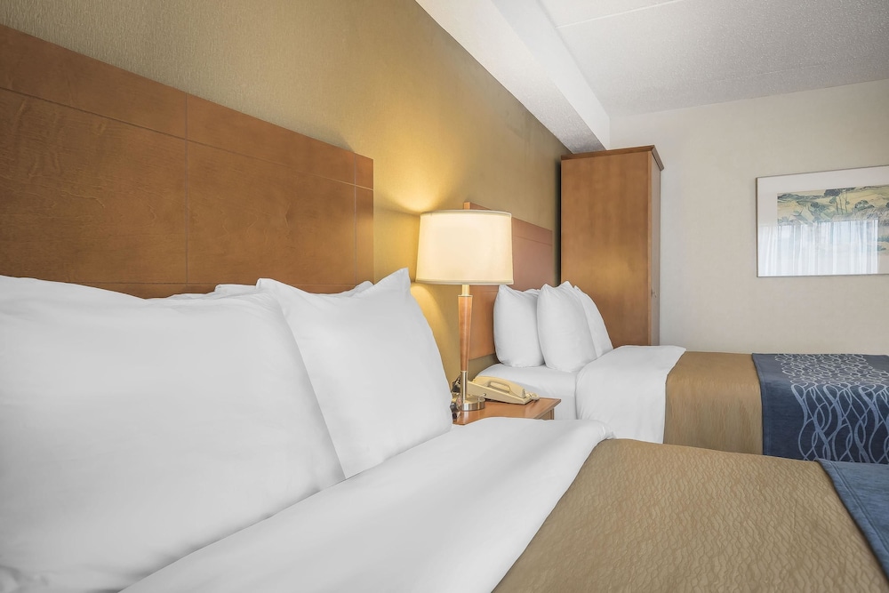 Comfort Inn Chilliwack, BC 19/44