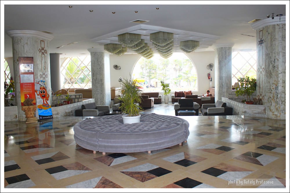 Delphin el Habib 8/50