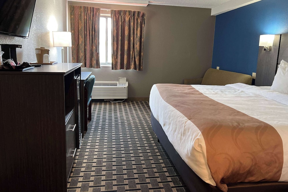 SUITE, KING BED