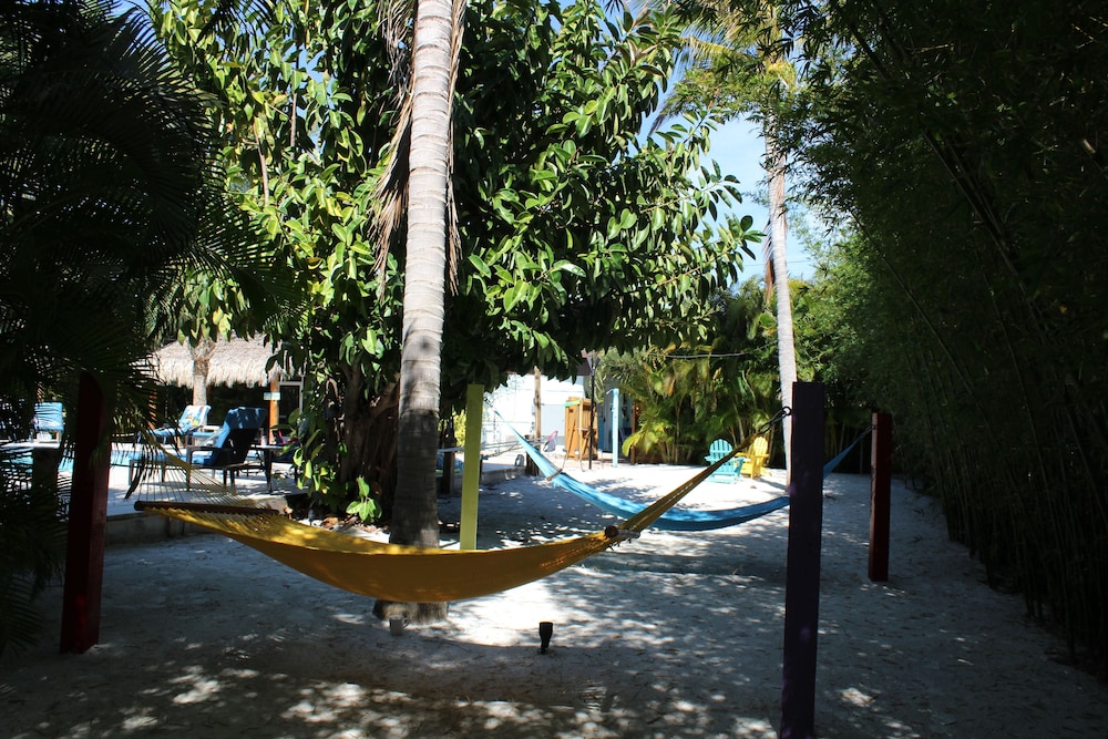 surroundings