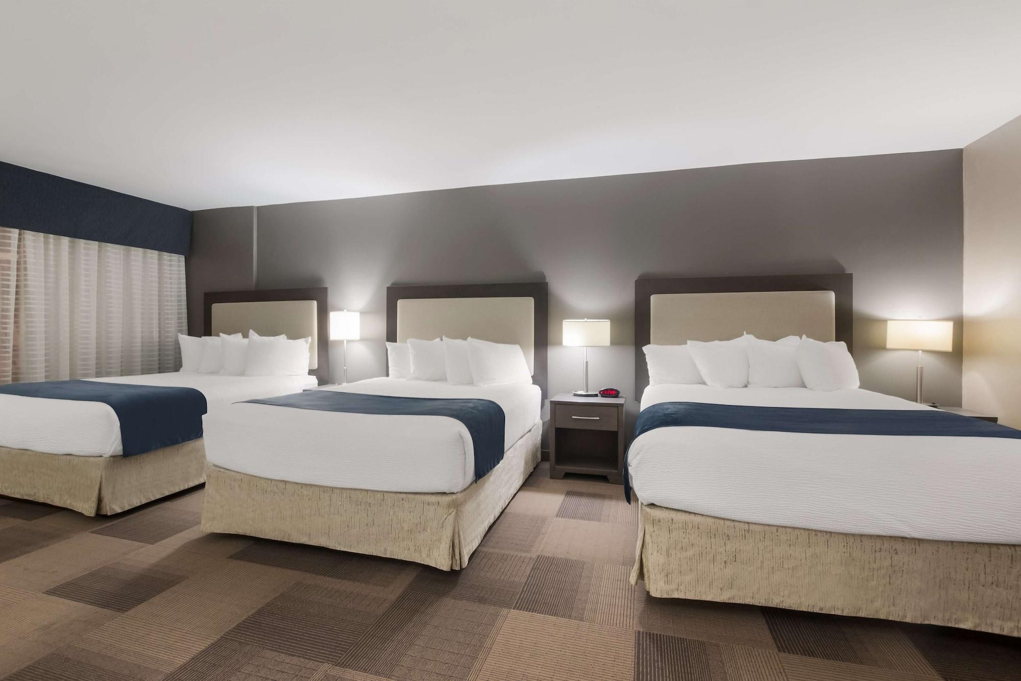 Standard, Multiple Beds