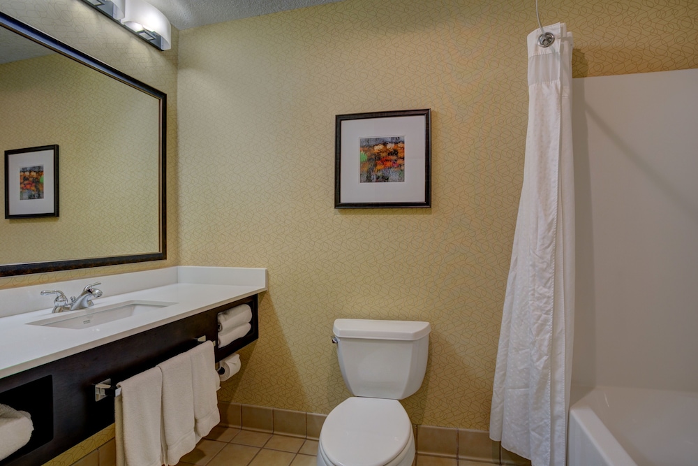 Holiday Inn Hotel And Suites Milwaukee Airport 10/36