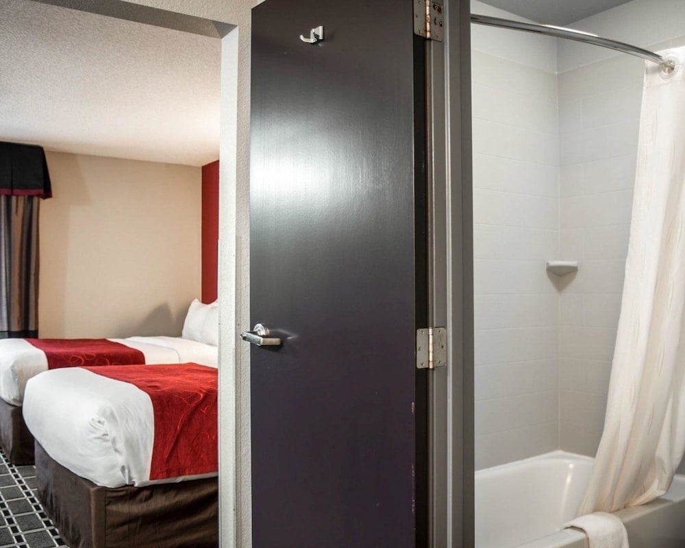 Comfort Suites Nashville Airport - BNA 17/52