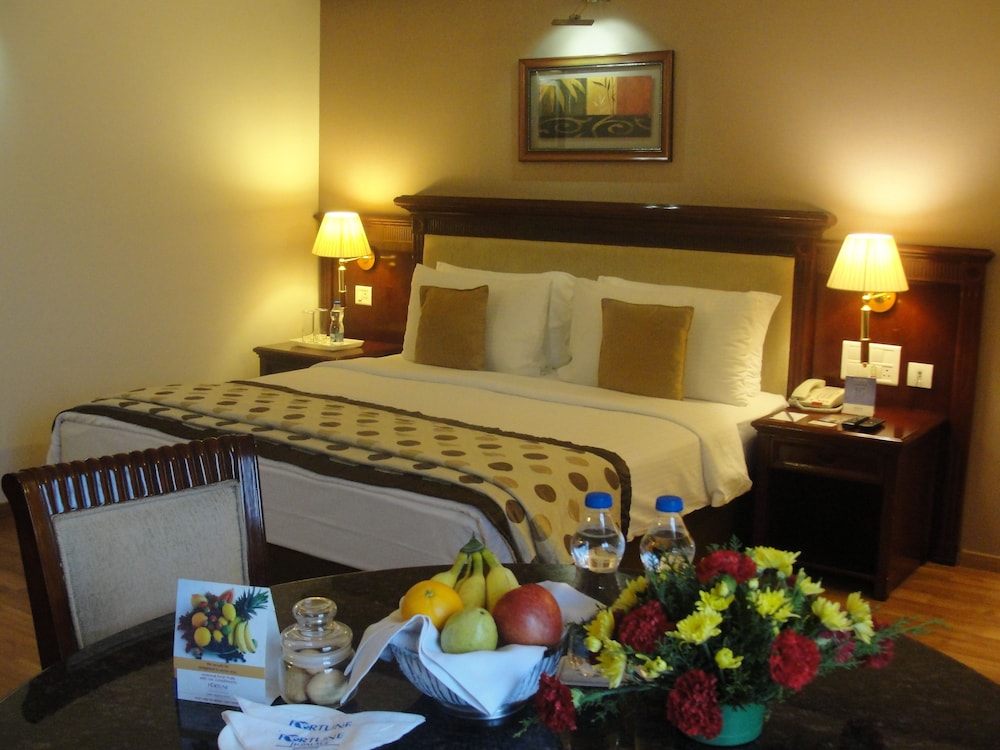Fortune Jp Palace - Member Itc Hotel Group 15/36