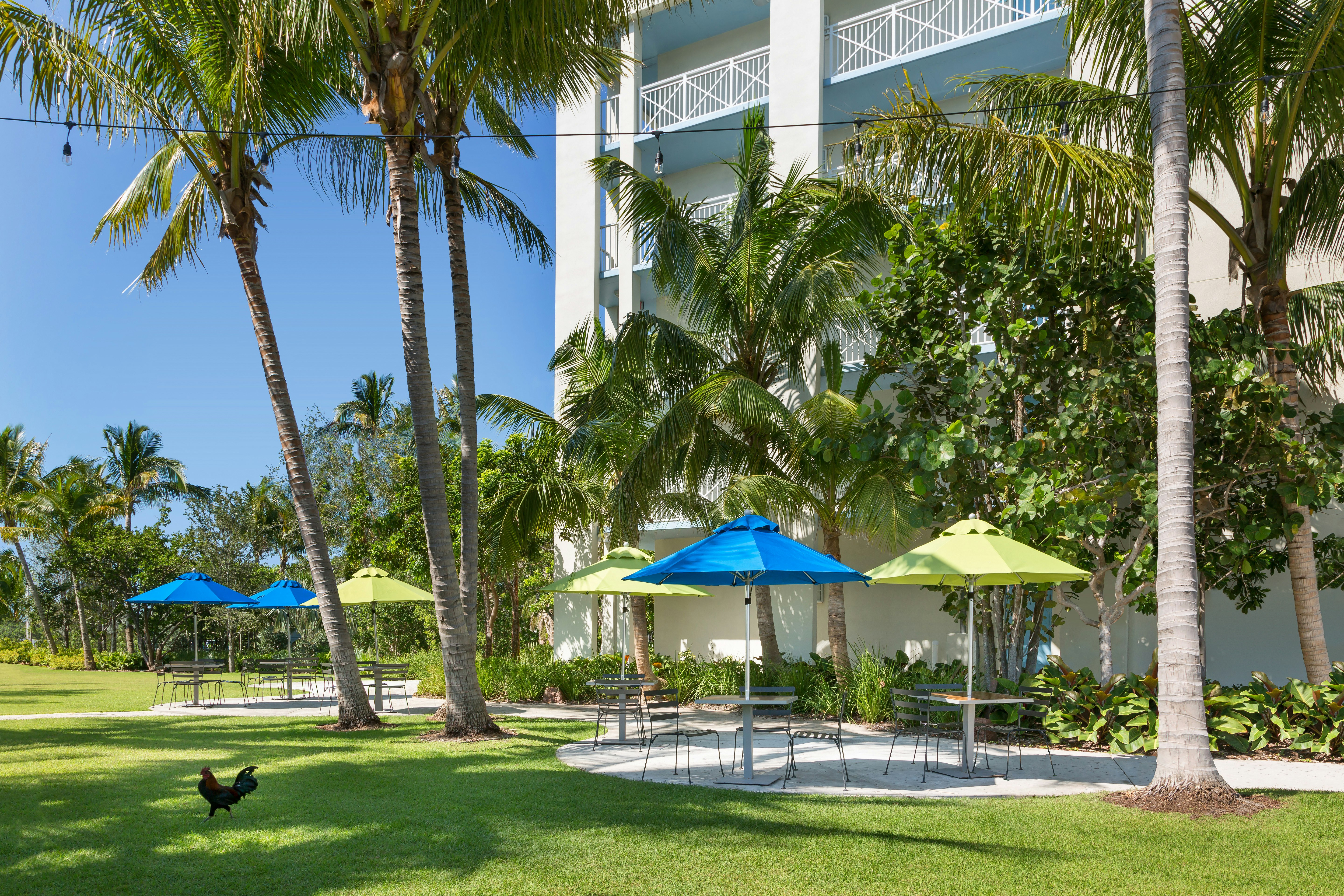 Hilton Garden Inn Key West the Keys Collection 79/82
