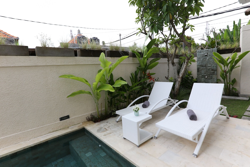 Green Studio Apartment 24/27