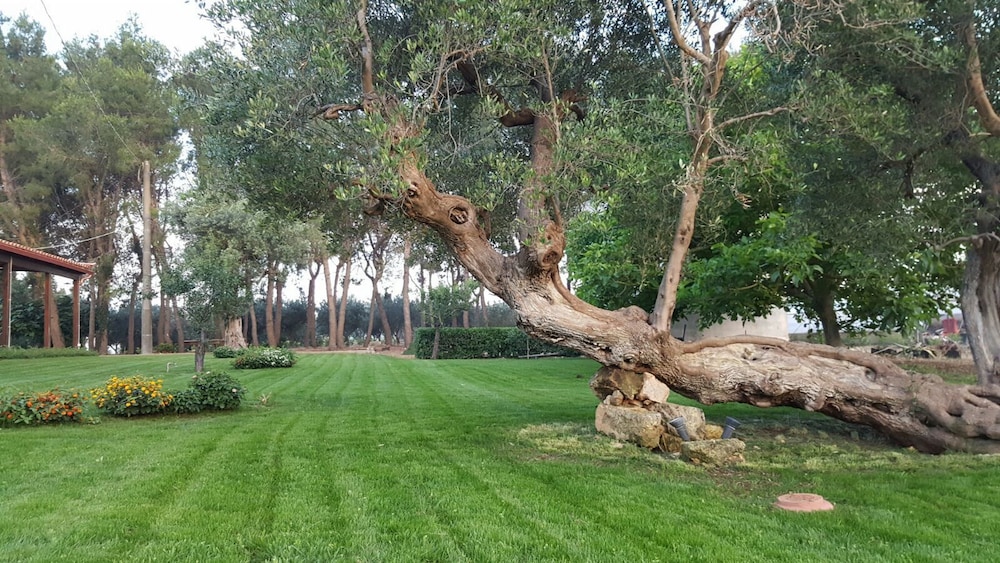 Tenuta Cavalieri 38/50