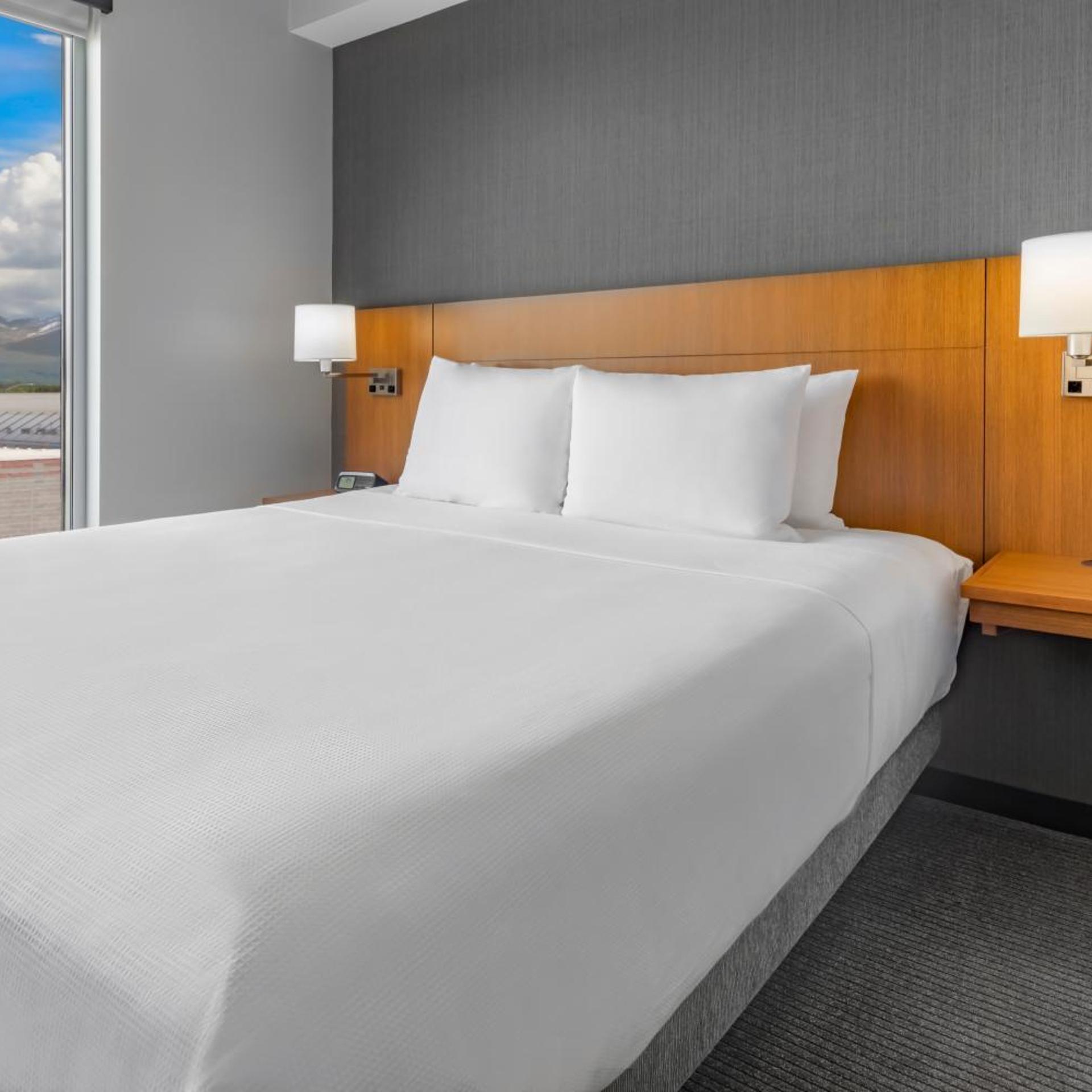 Room, King Bed, Sofa, Bathtub, Accessible