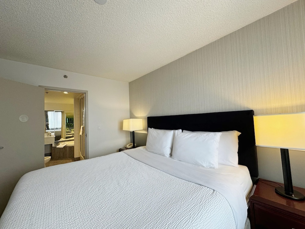 PLAZA, SUITE, KING BED, SOFA