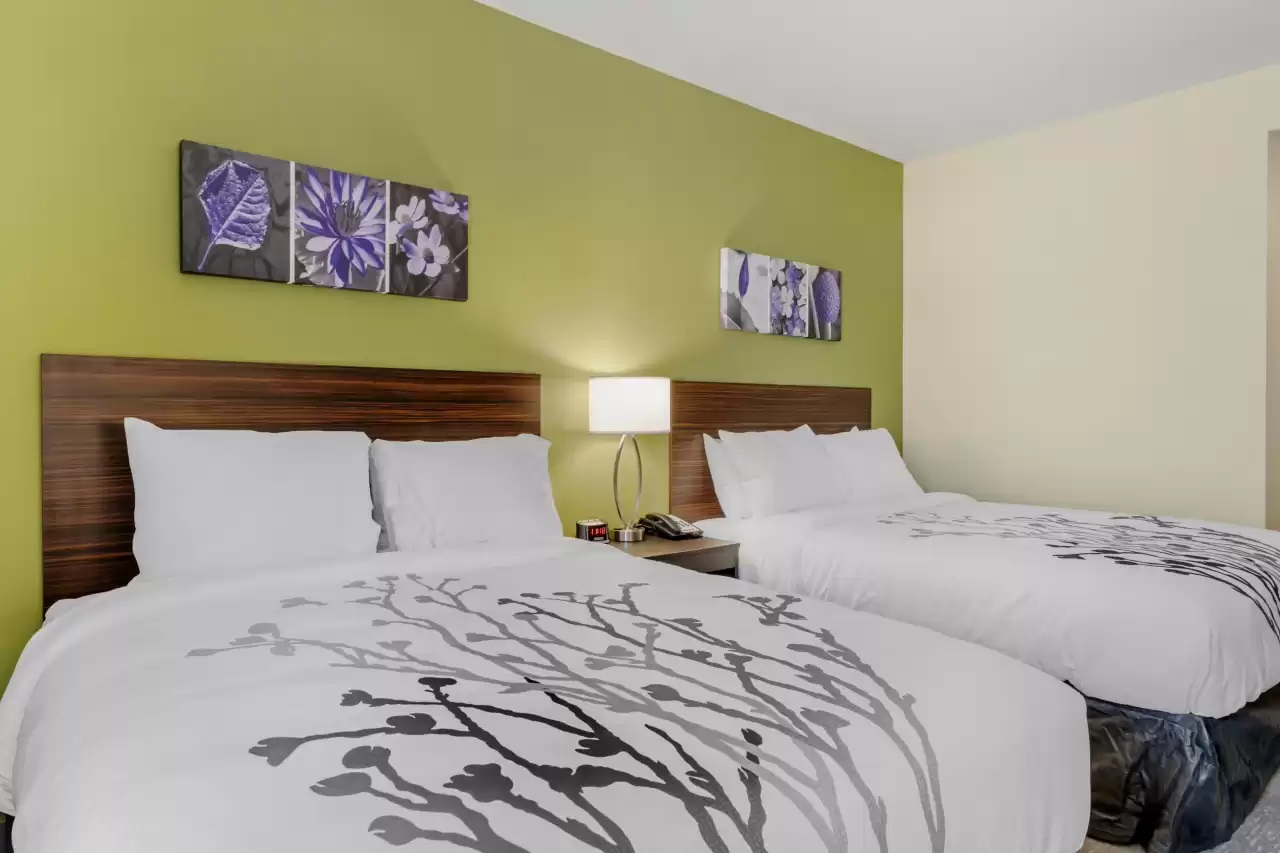 Efficiency, 2 Queen Beds, Accessible