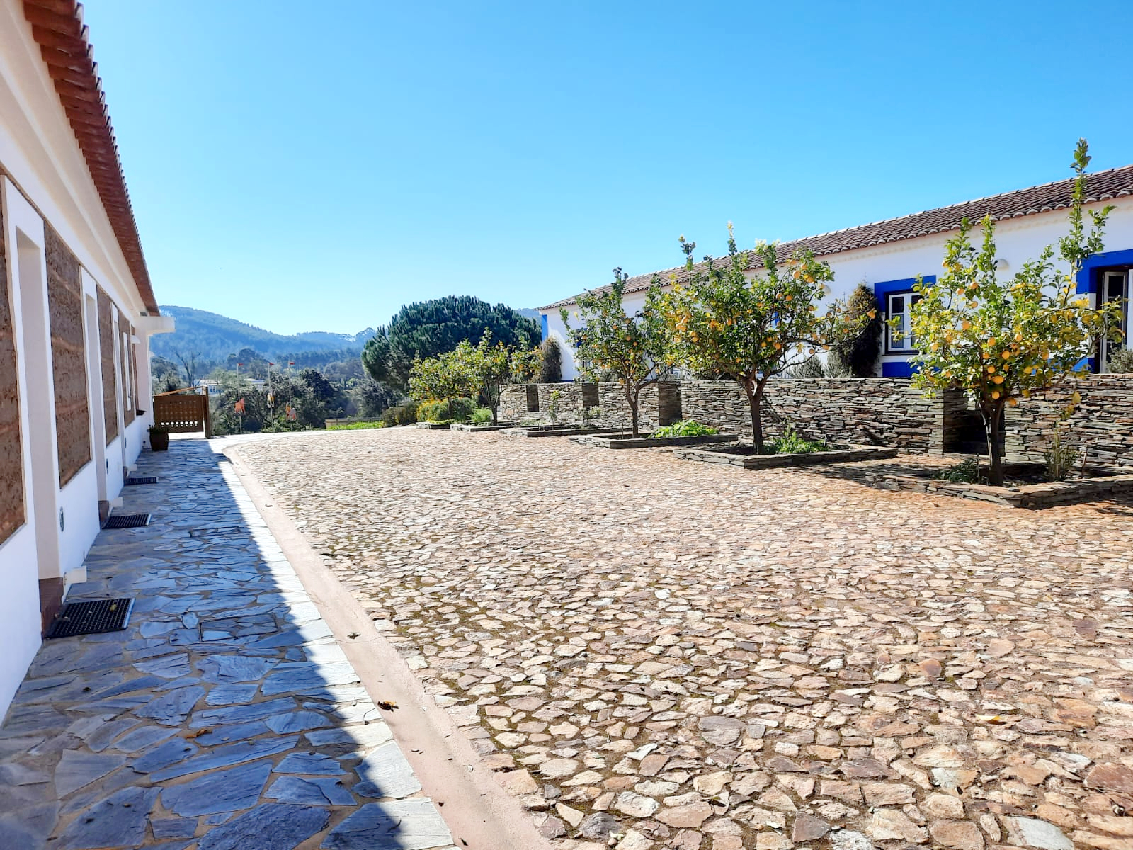 Naturarte 40/50