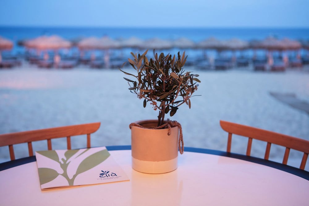 Elia Beach Hotel 34/47