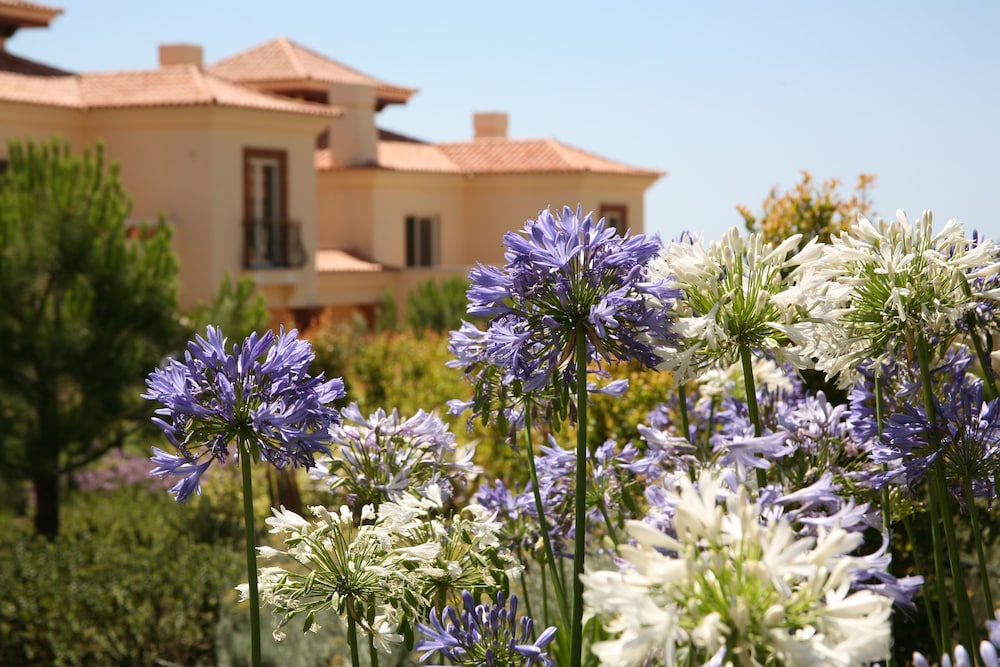 Monte Rei Golf And Country Club 42/50